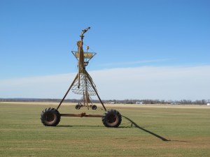 Getting ready for spring