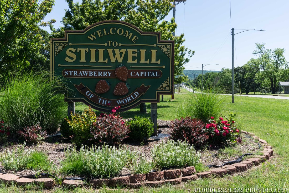 Stilwell Strawberry-40